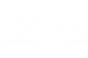 Doggo Casino's logo